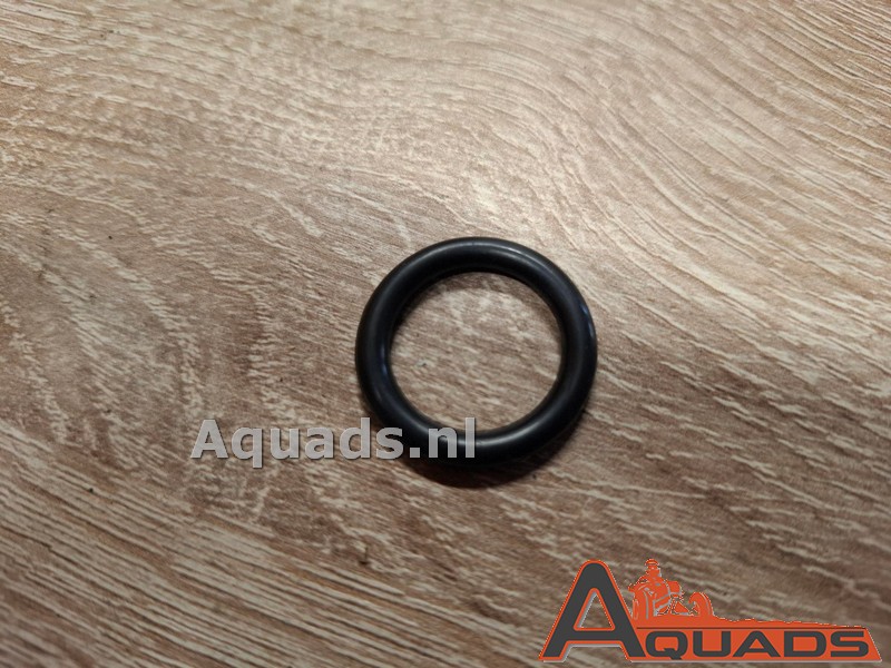 O-Ring 18x3.55 CFMoto 500